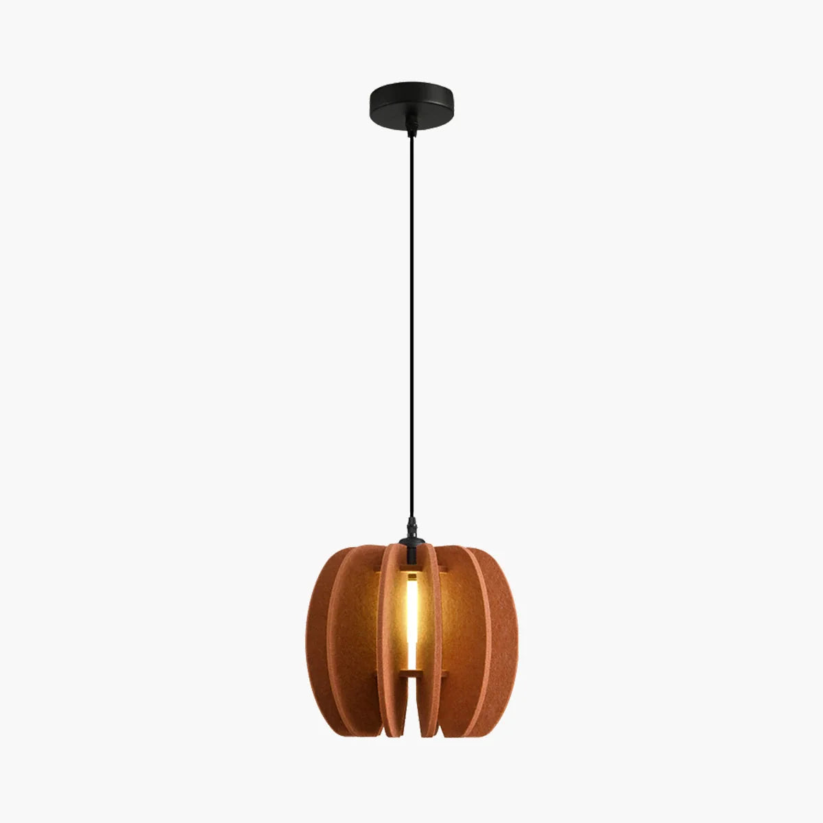 Feyran Circular Arc Piece Acoustic Pendant Light