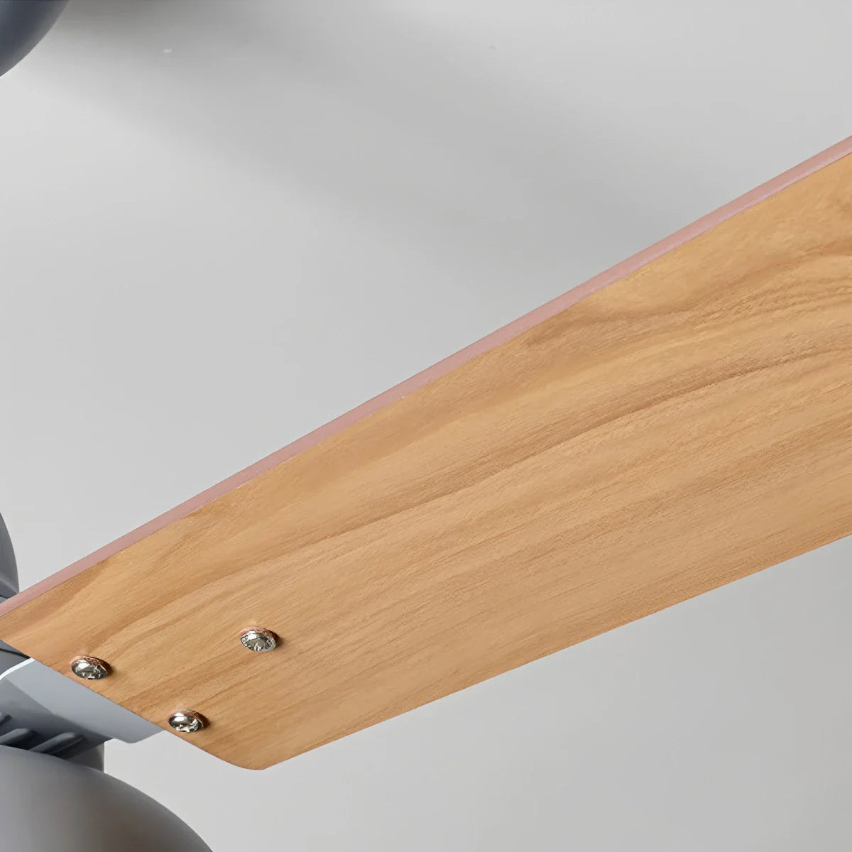 Feyran Modern Minimalist Three Leaf Ceiling Fan Light