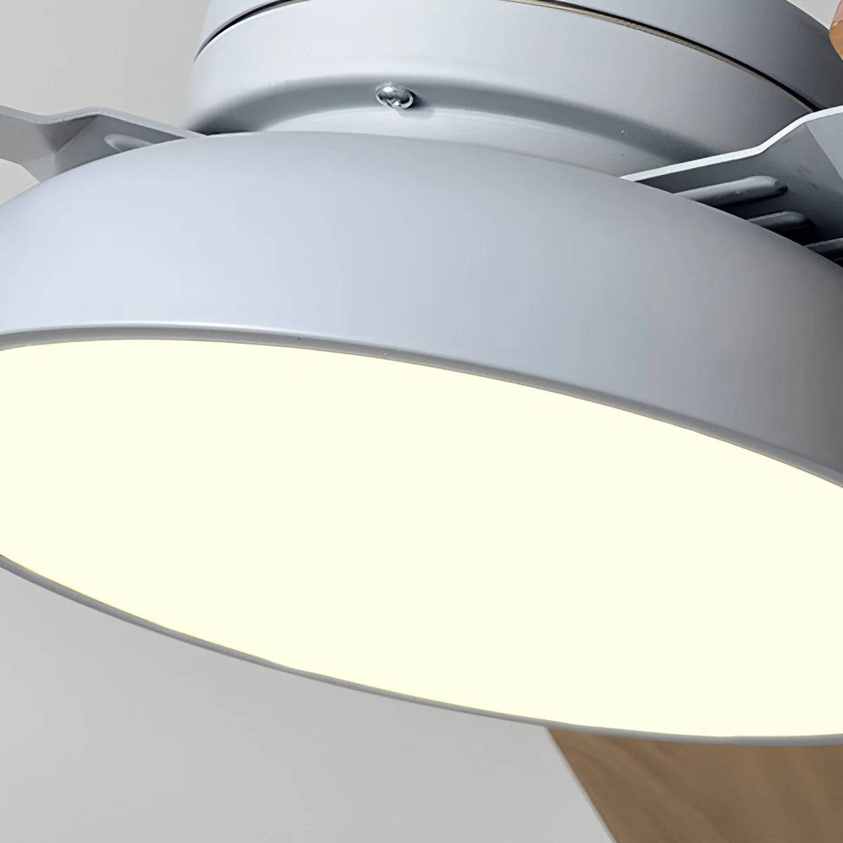 Feyran Modern Minimalist Three Leaf Ceiling Fan Light