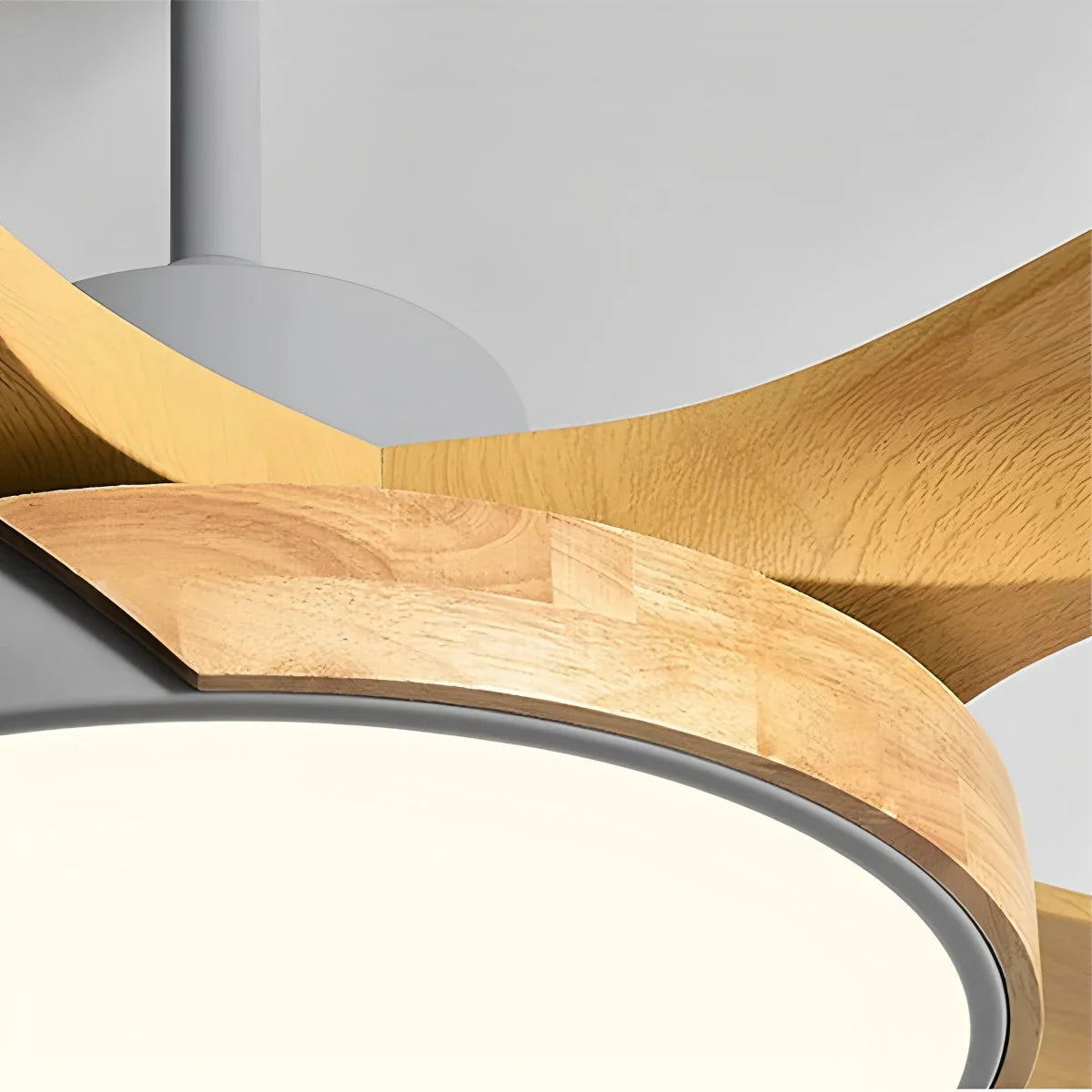 Feyran Nordic Living Room Ceiling Fan with Light