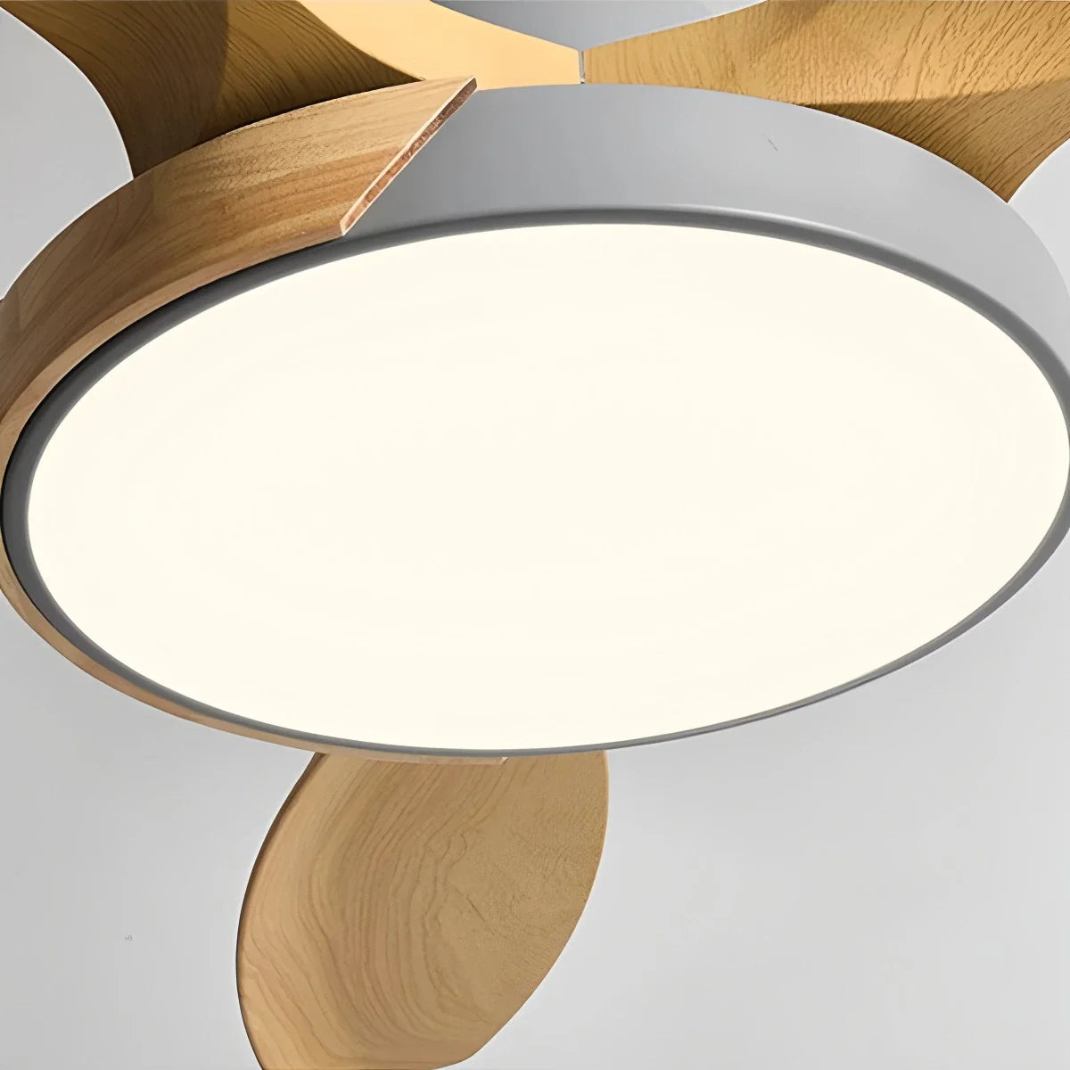 Feyran Nordic Living Room Ceiling Fan with Light