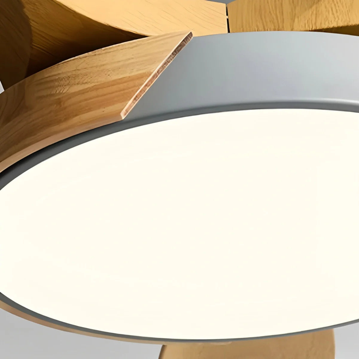 Feyran Nordic 5-Blade LED Ceiling Fan Light