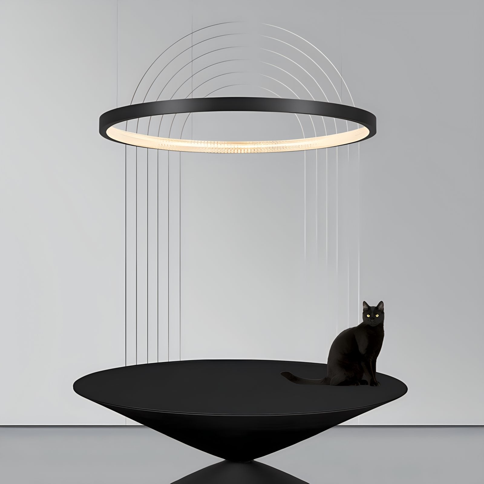 Feyran Nordic Simple Ring Ceiling Chandelier