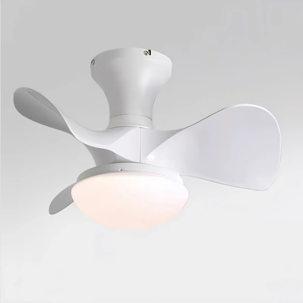 Feyran Small Propeller Ceiling Fan With Light