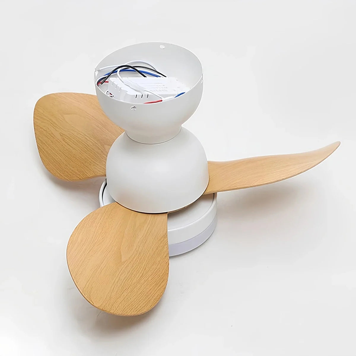 Feyran Small Propeller Ceiling Fan With Light