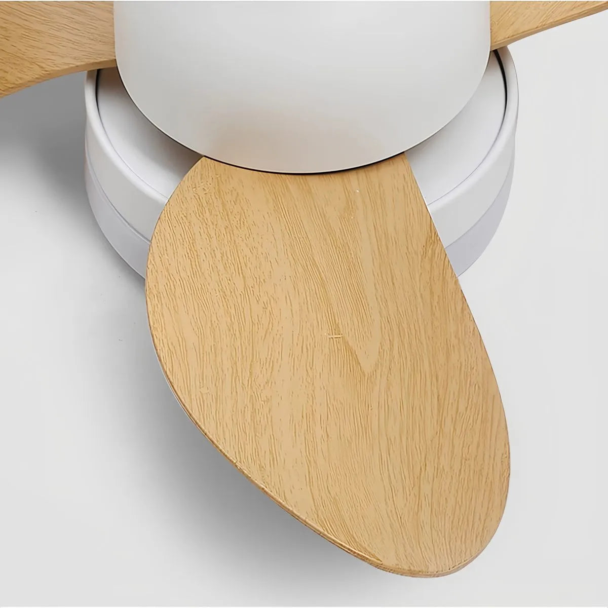Feyran Small Propeller Ceiling Fan With Light