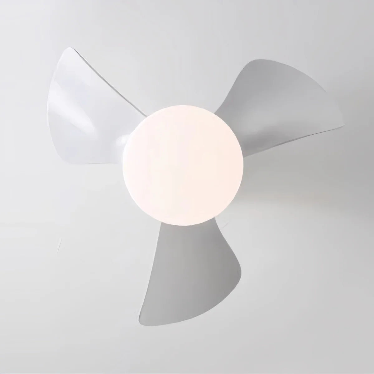 Feyran Small Propeller Ceiling Fan With Light