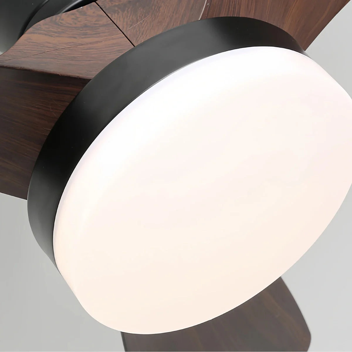 Feyran Small Propeller Ceiling Fan With Light