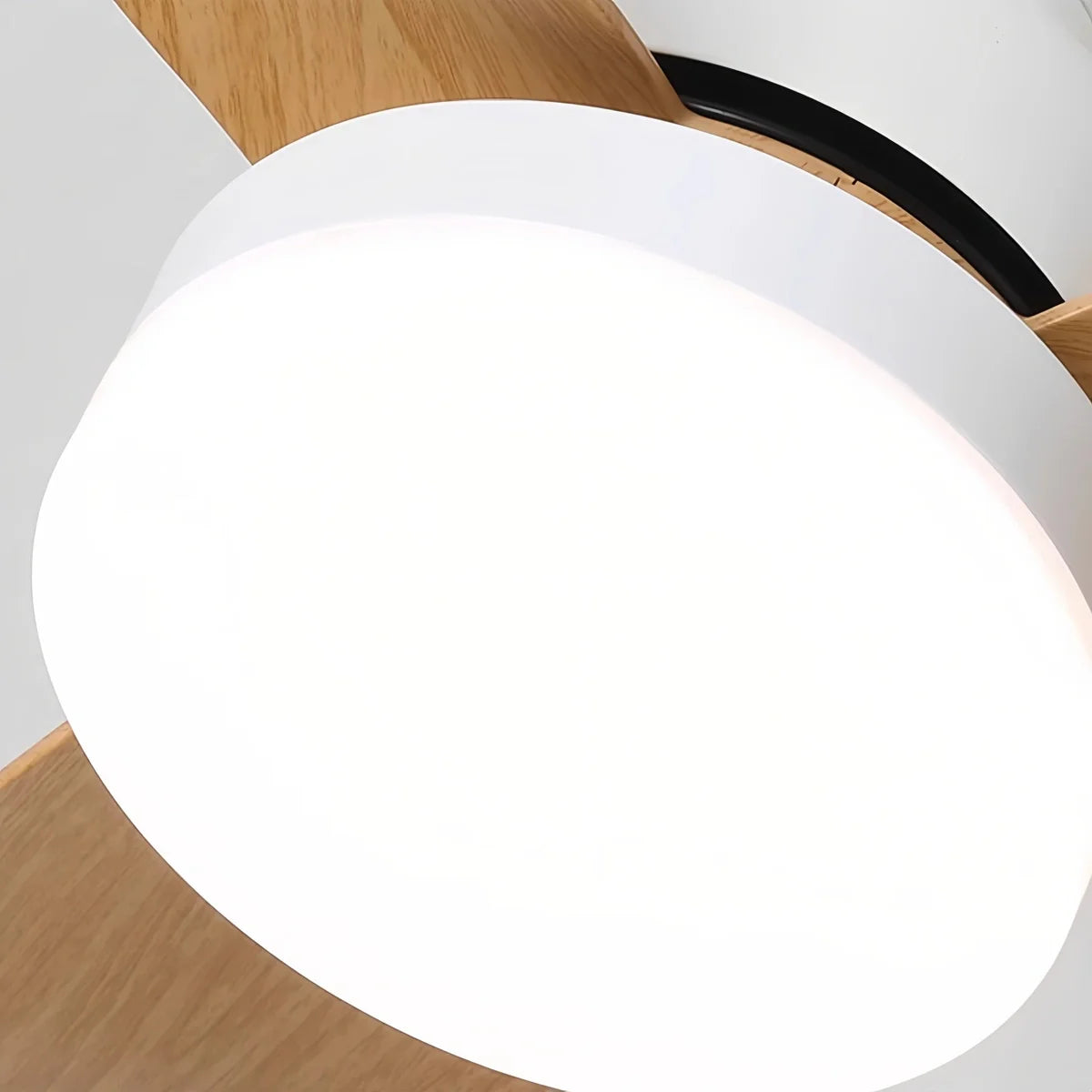 Feyran Small Propeller Ceiling Fan With Light