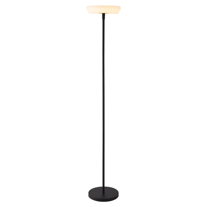 Feyran Outdoor Solar LED Floor Lamp for Garden