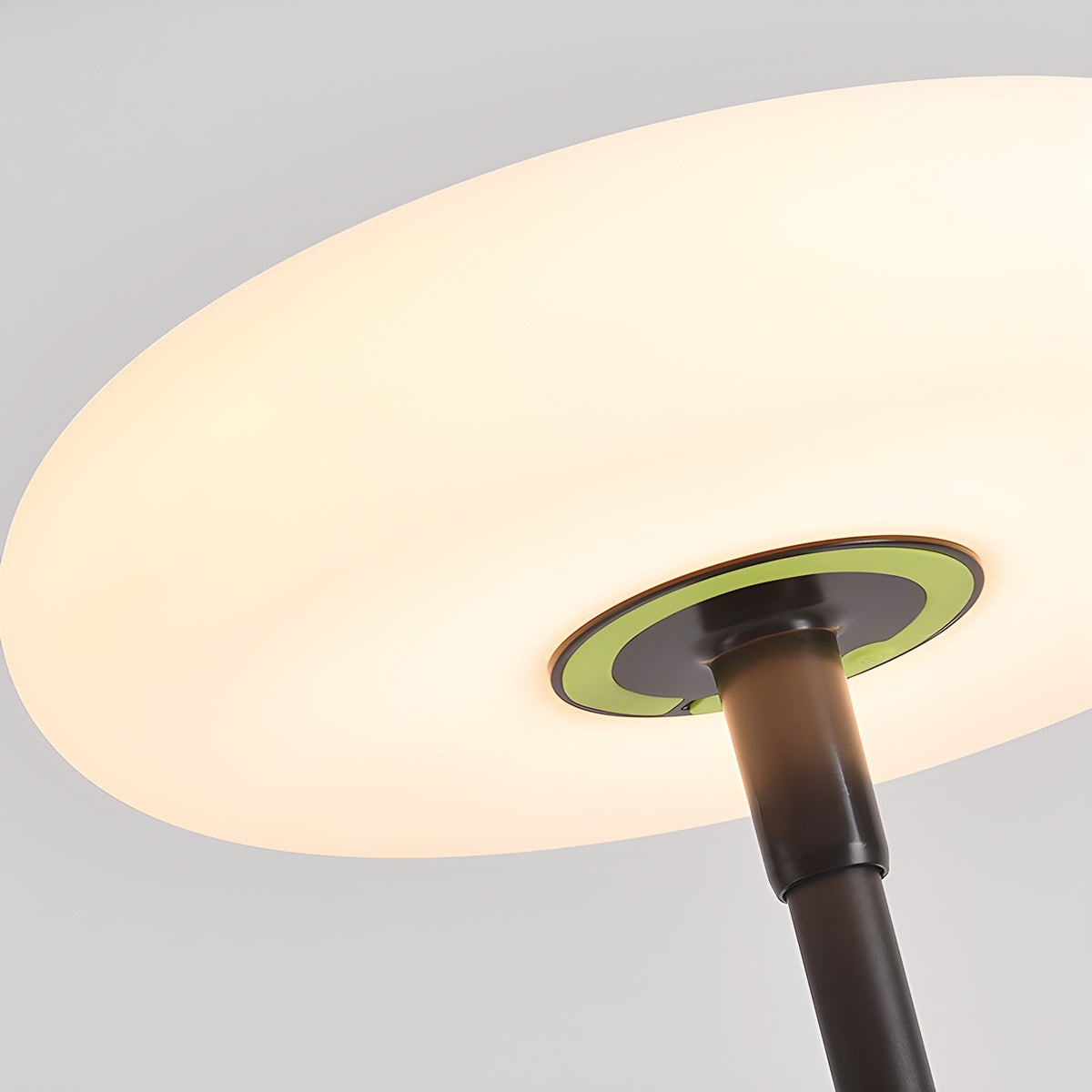 Feyran Outdoor Solar LED Floor Lamp for Garden