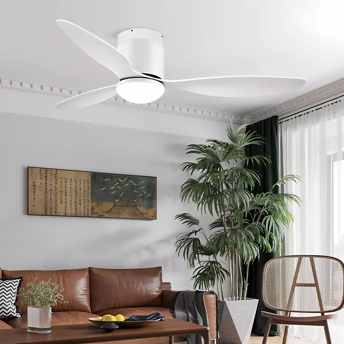 Feyran 3 Blade Modern Ceiling Fan with Light