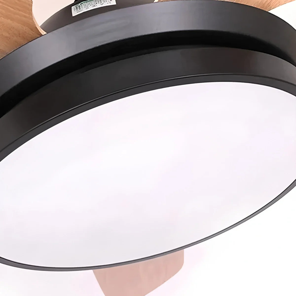 Feyran 5 Blade Ceiling Fan Light for Living Room