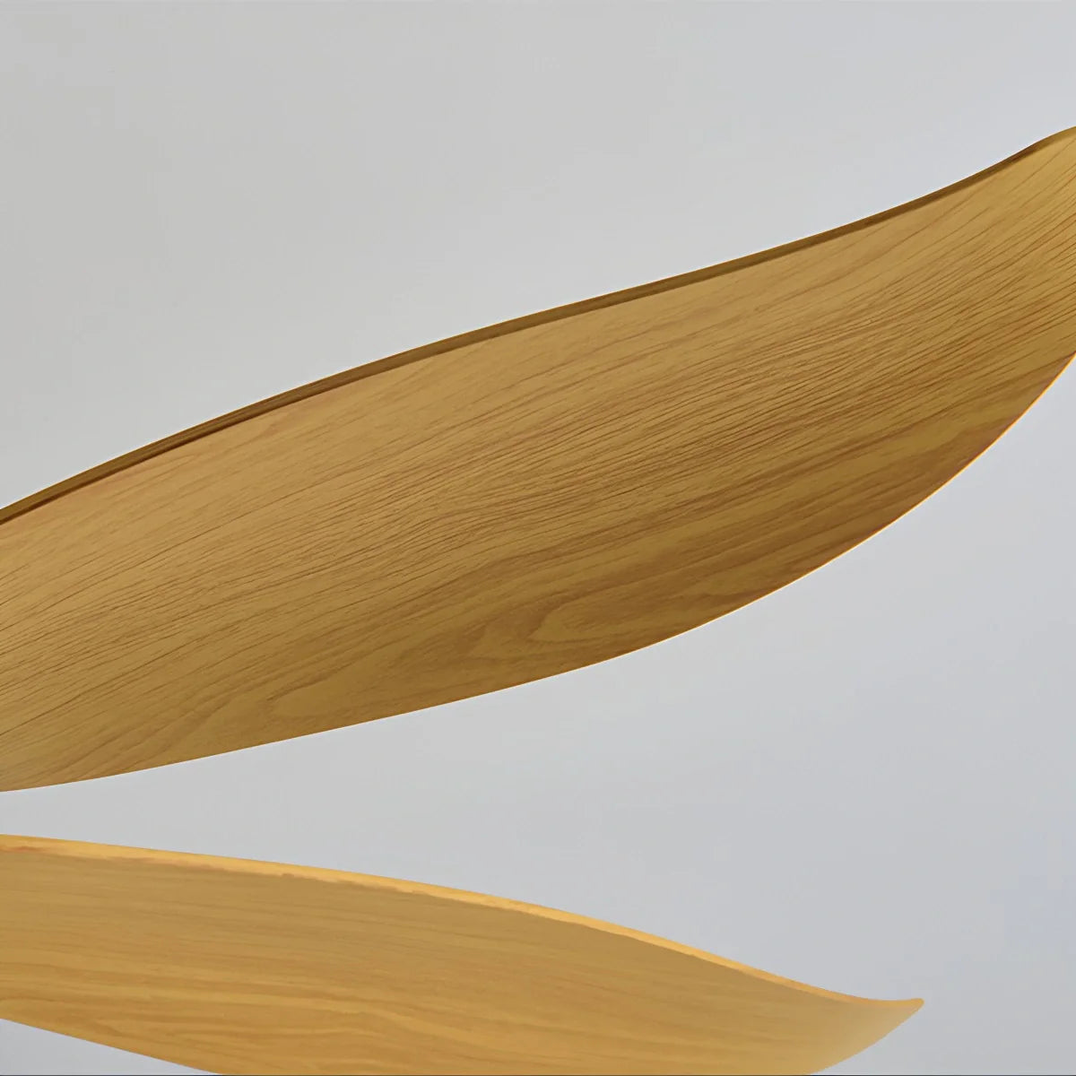 Feyran 5 Blade Contemporary Ceiling Fan Lamp