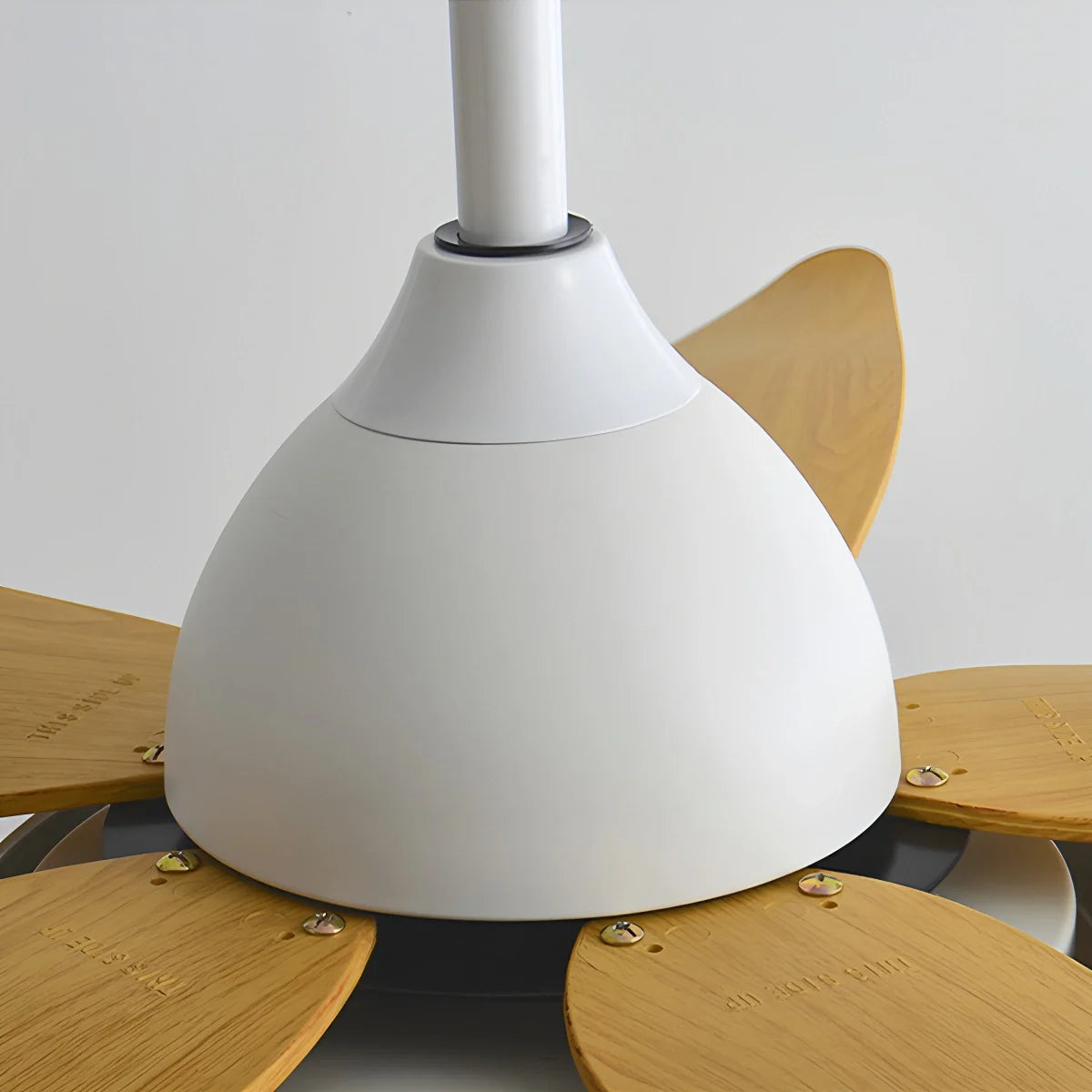 Feyran 5 Blade Contemporary Ceiling Fan Lamp