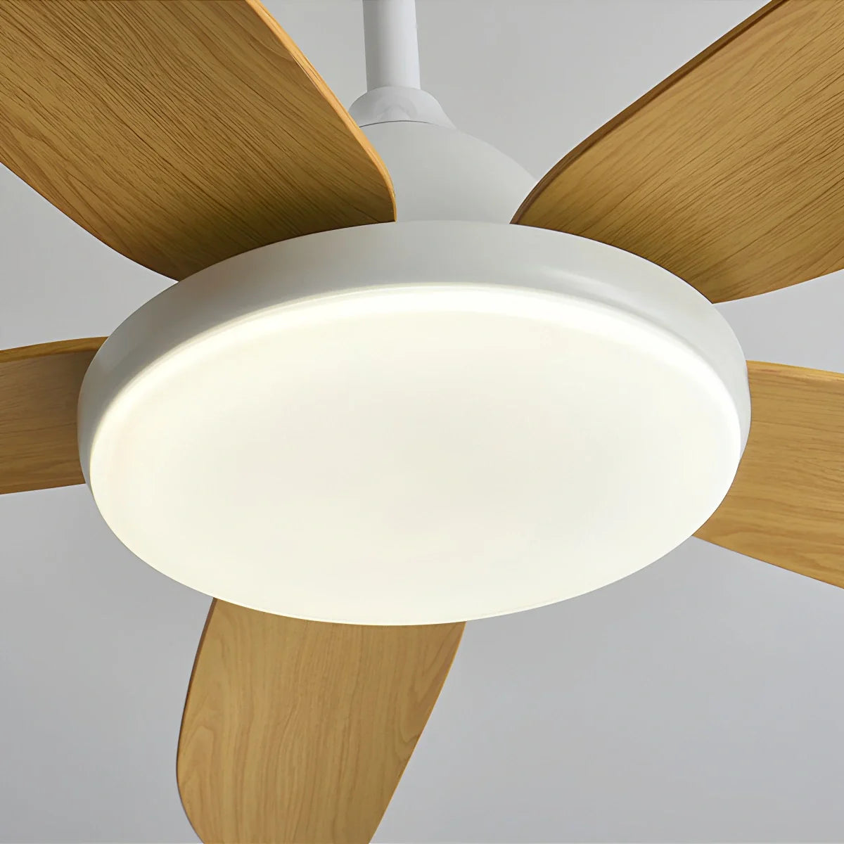Feyran 5 Blade Contemporary Ceiling Fan Lamp