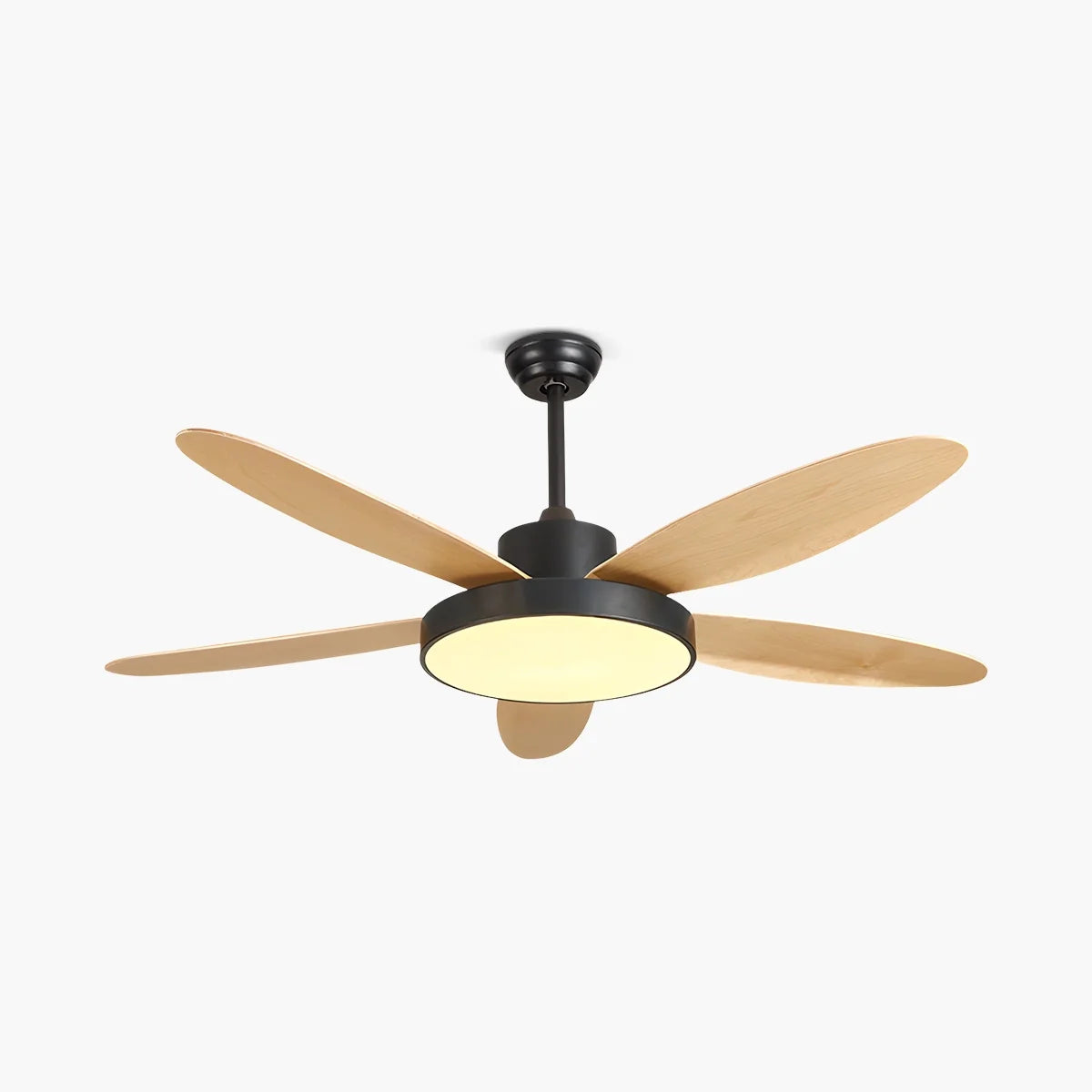 Feyran 5 Blade Modern Ceiling Fan Lamp for Living Room