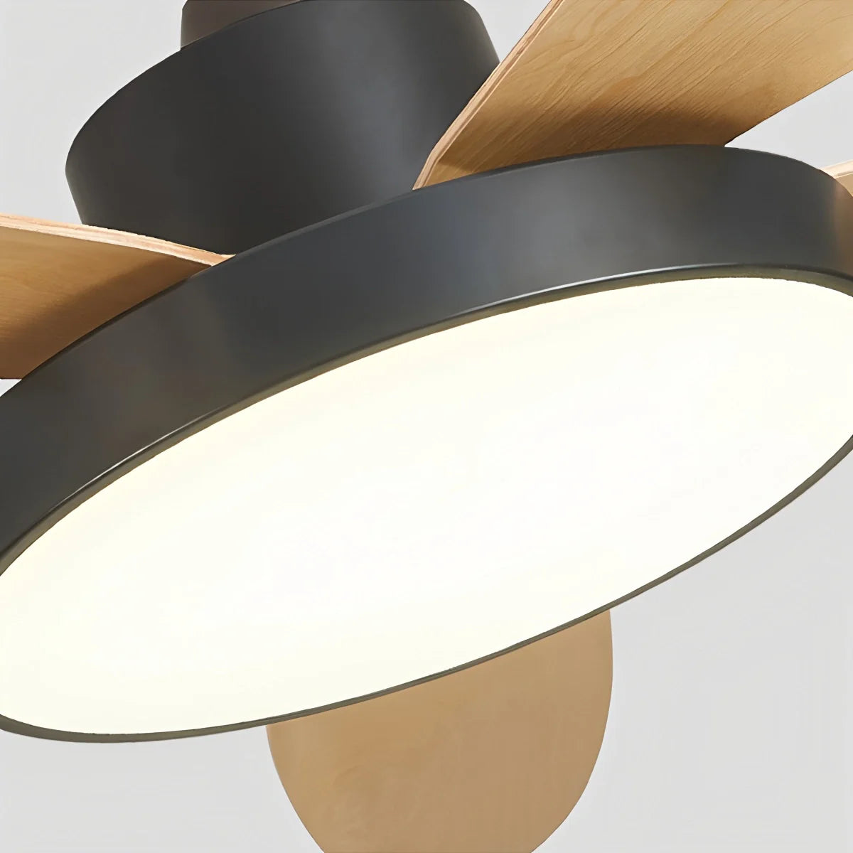 Feyran 5 Blade Modern Ceiling Fan Lamp for Living Room