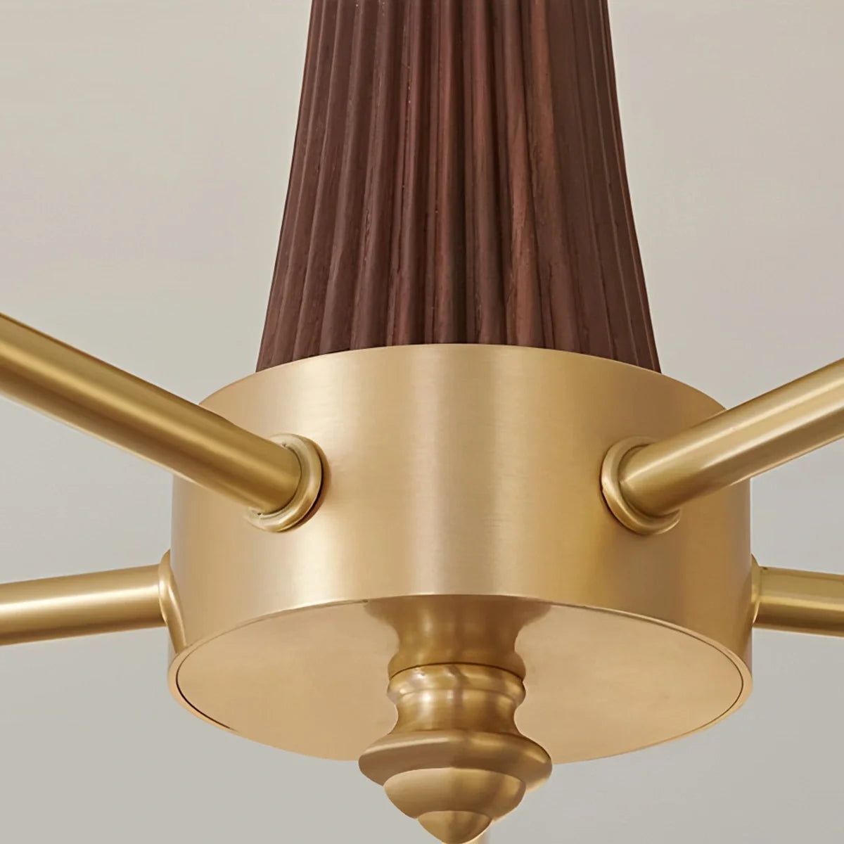 Feyran Brass Wooden Persimmon Chandelier