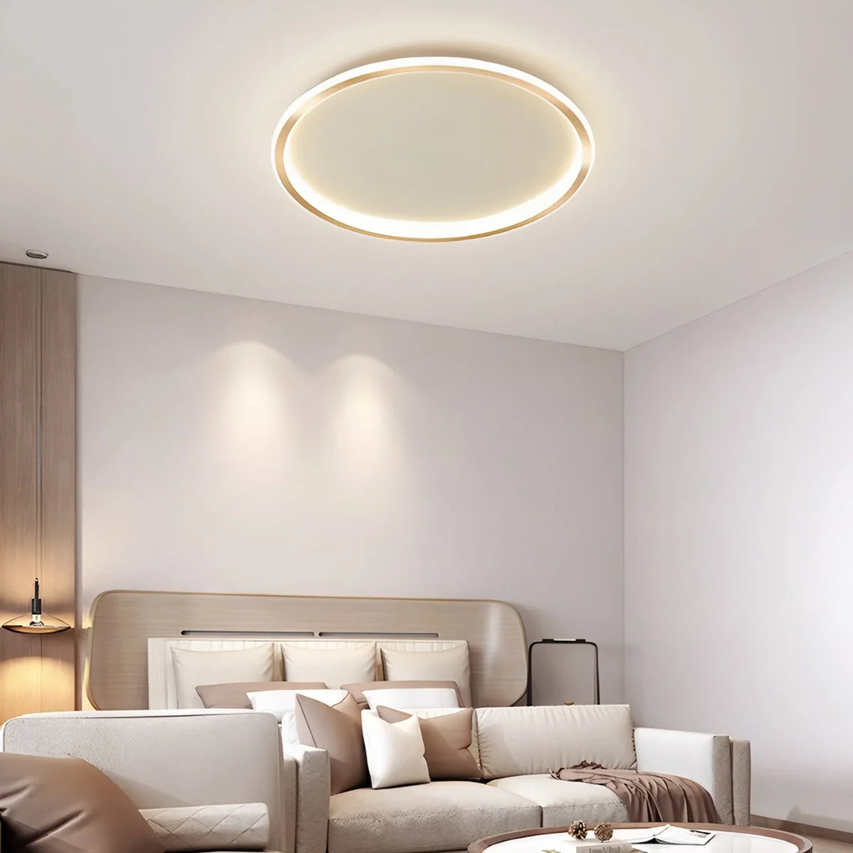 Feyran Nordic Circular Simple LED Ceiling Light