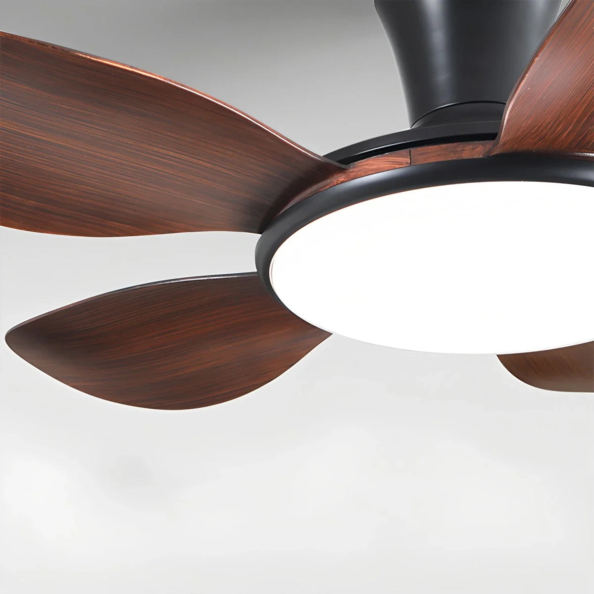 Feyran Silent Remote Control LED Ceiling Fan Light