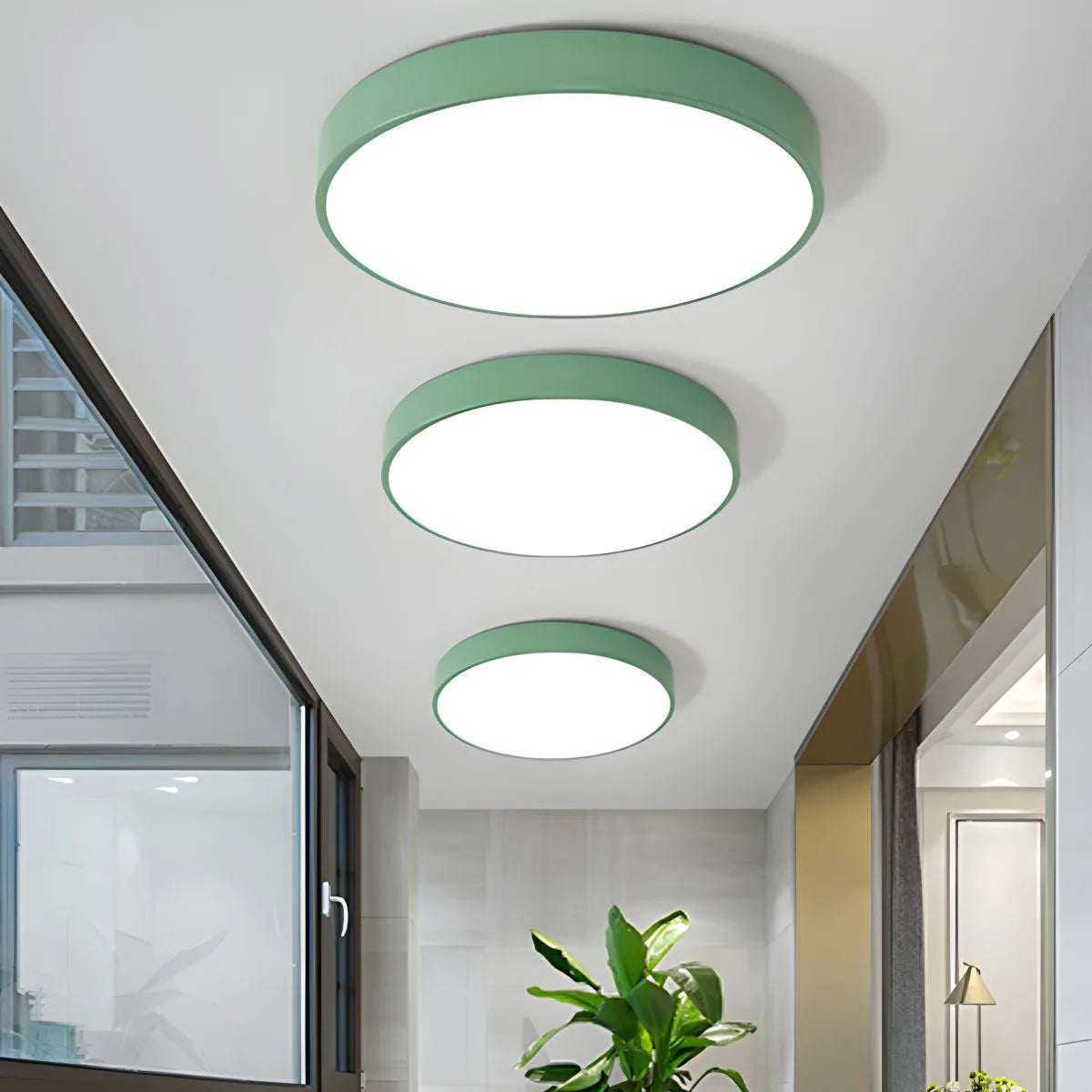 Feyran LED Minimalist Circular Macaron Ceiling Light