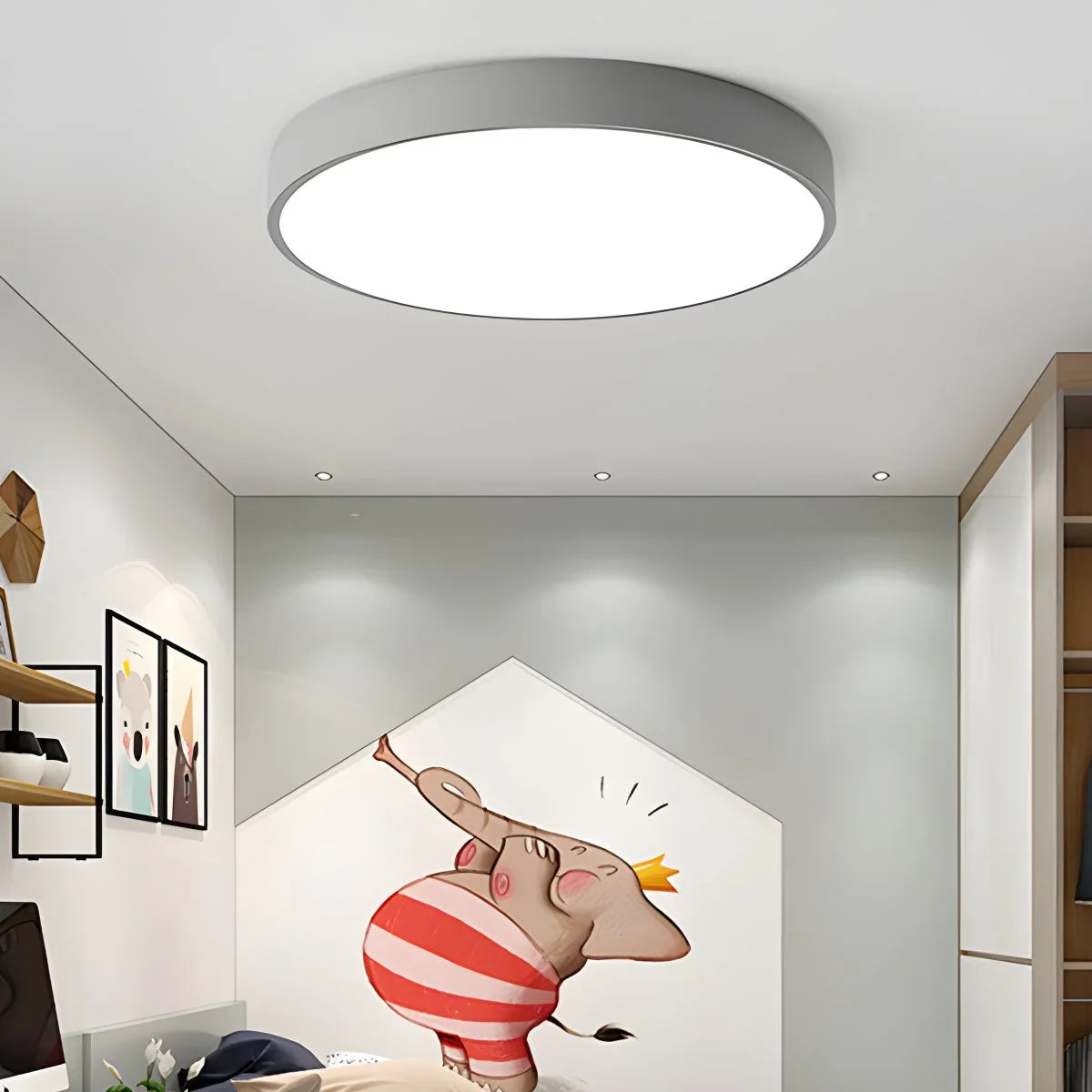 Feyran LED Minimalist Circular Macaron Ceiling Light