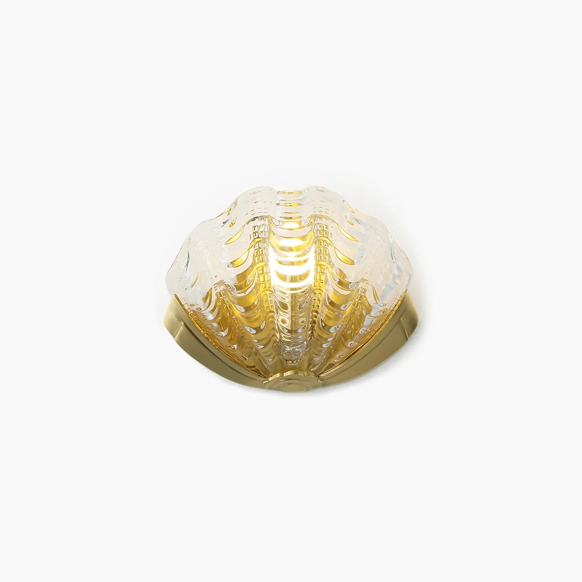 Feyran Light Luxury Brass Shell Glass Wall Lamp