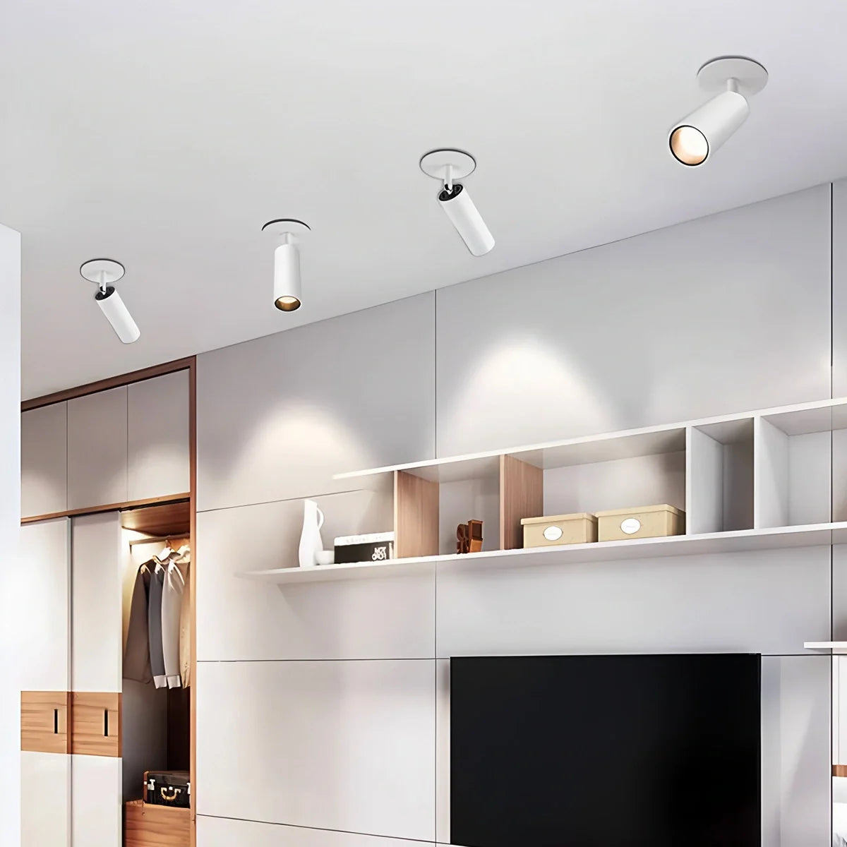 Feyran Minimalist LED Ceiling Spotlight for Living Room