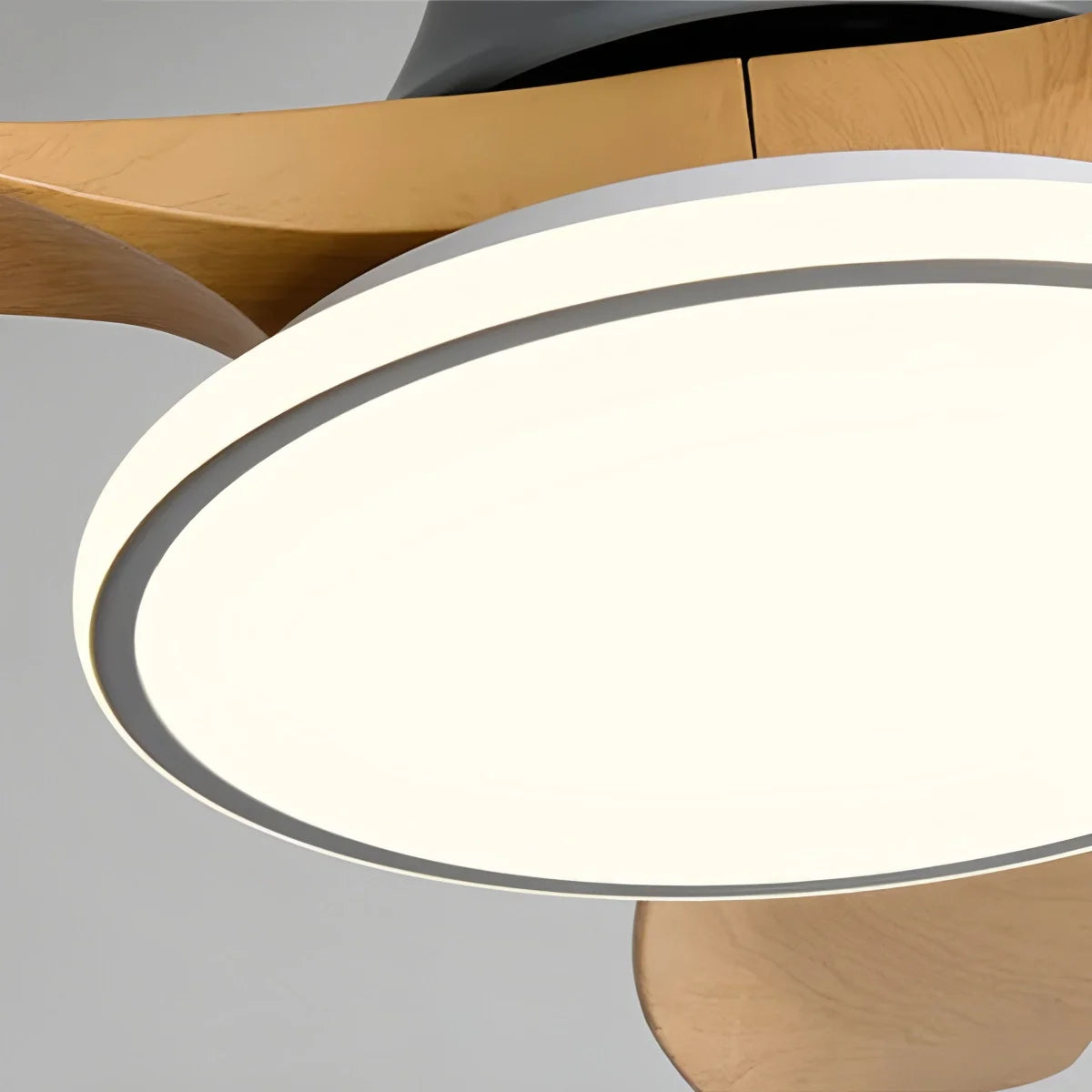 Feyran Modern 3 Blade Ceiling Fan with Light