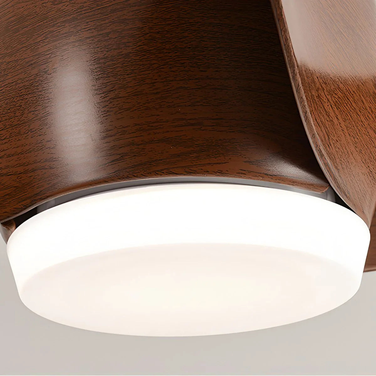 Feyran Propeller Ceiling Fan Lamp for Dining Room
