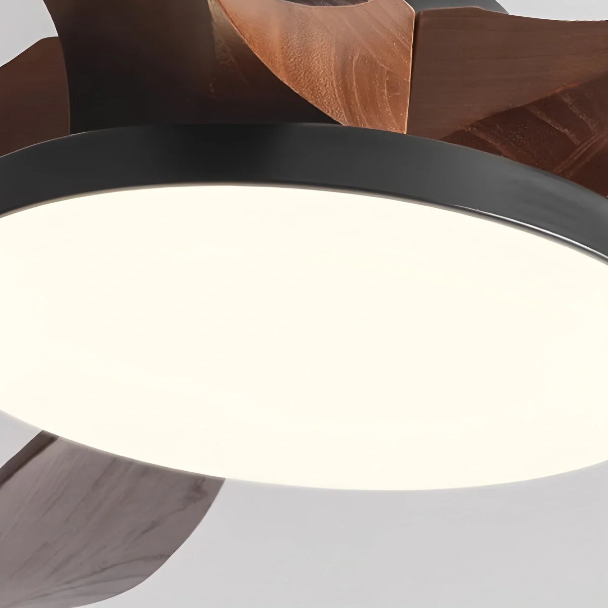 Feyran 5-leaf Solid Wood Ceiling Fan Light