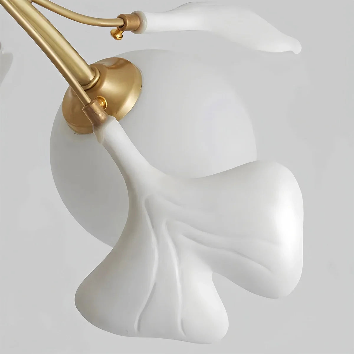Feyran Thalassa Ginkgo Chandelier for Living Room