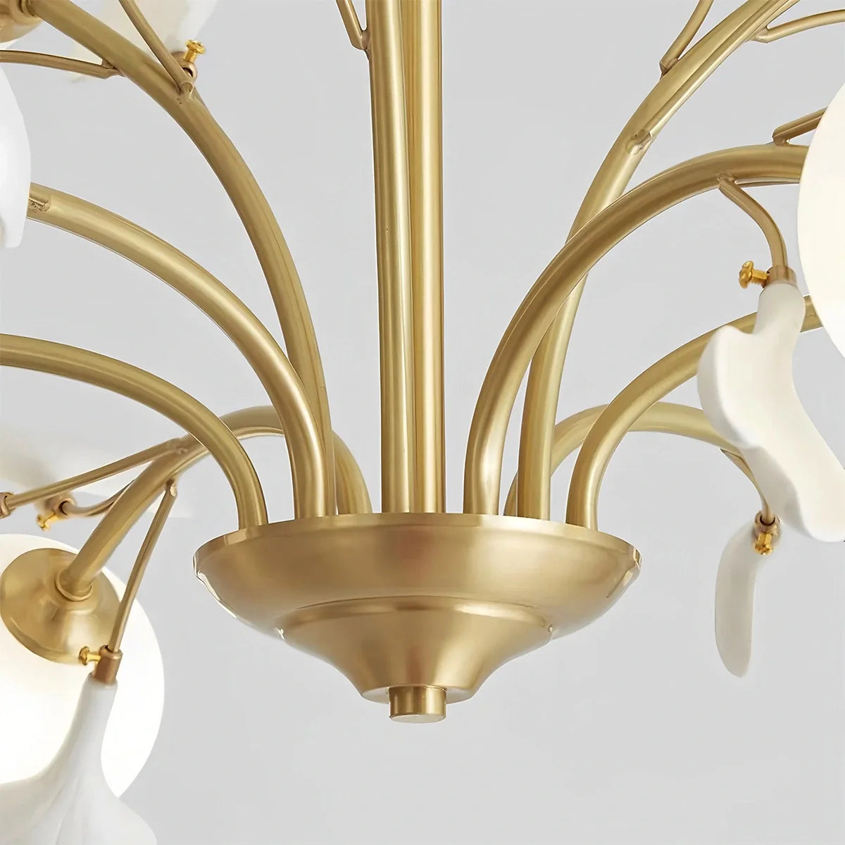 Feyran Thalassa Ginkgo Chandelier for Living Room