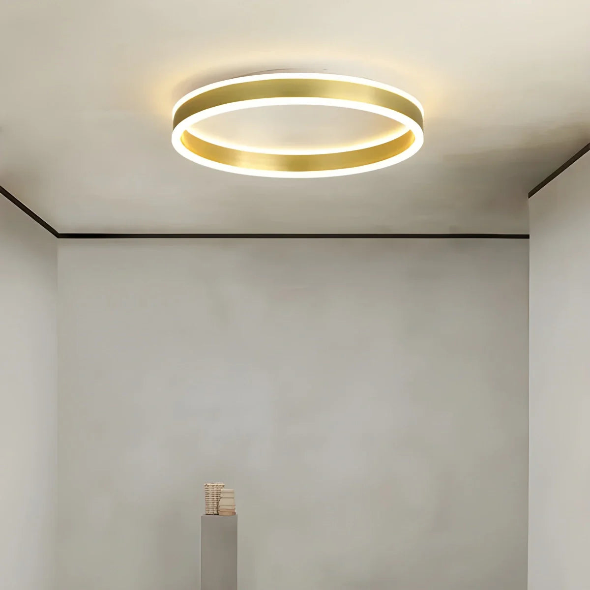 Feyran Simple Modern Round Ceiling Light