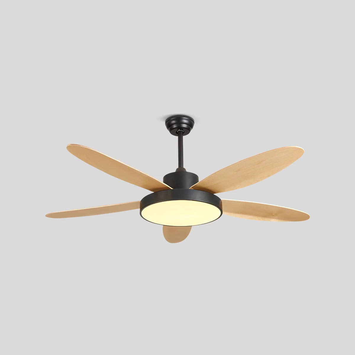Feyran 5 Blade Modern Ceiling Fan Lamp for Living Room