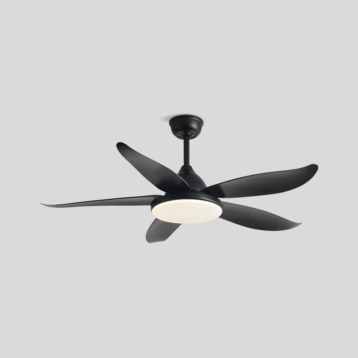 Feyran 5 Blade Contemporary Ceiling Fan Lamp