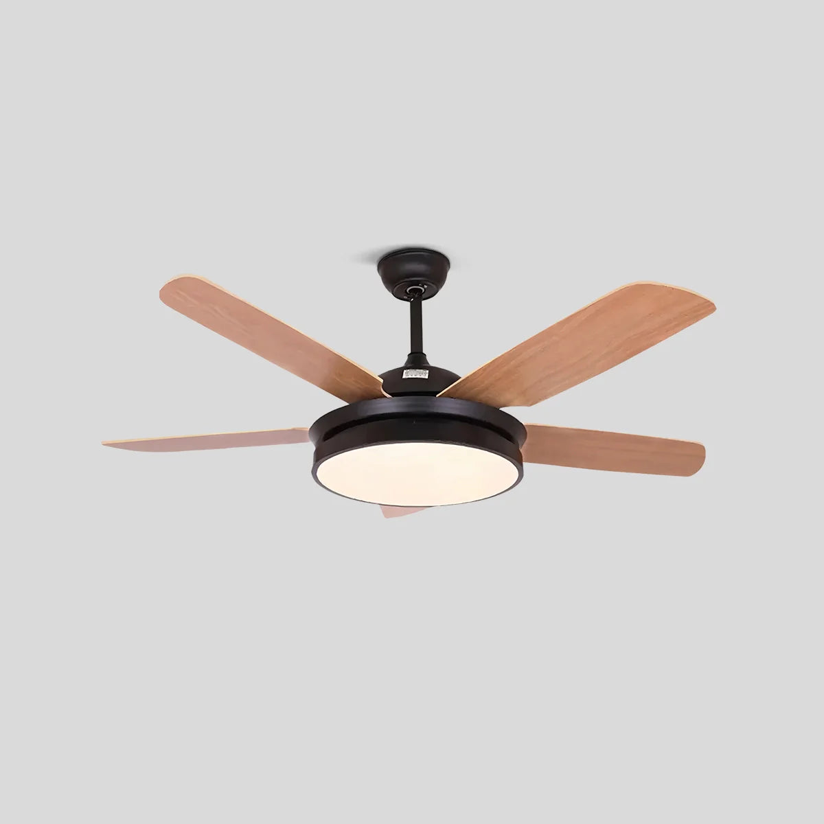 Feyran 5 Blade Ceiling Fan Light for Living Room
