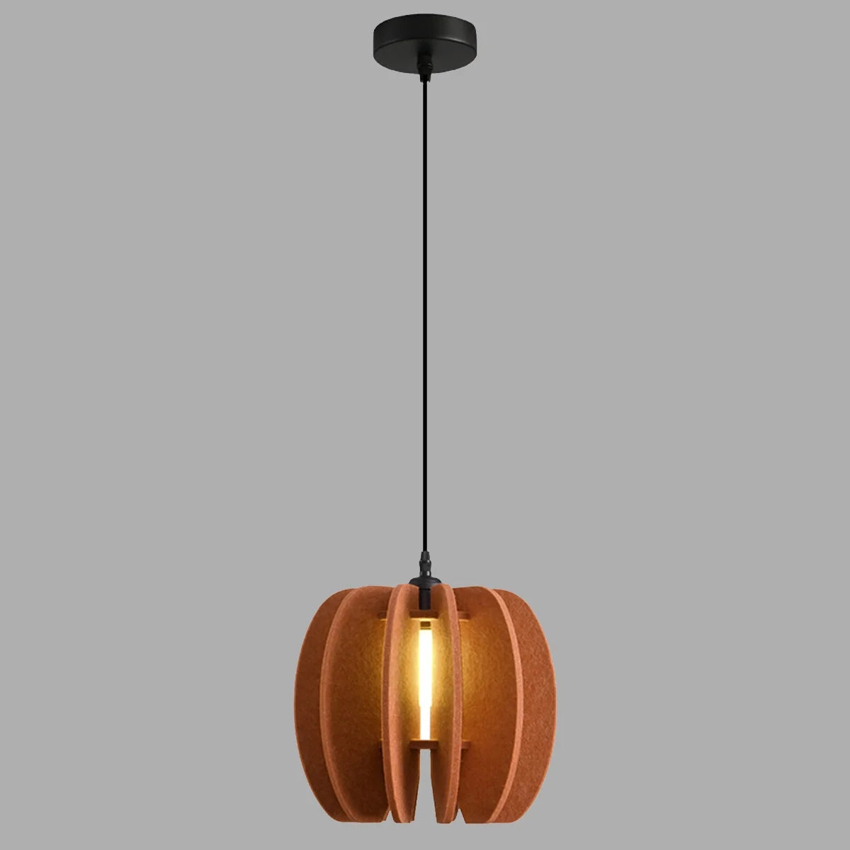 Feyran Circular Arc Piece Acoustic Pendant Light