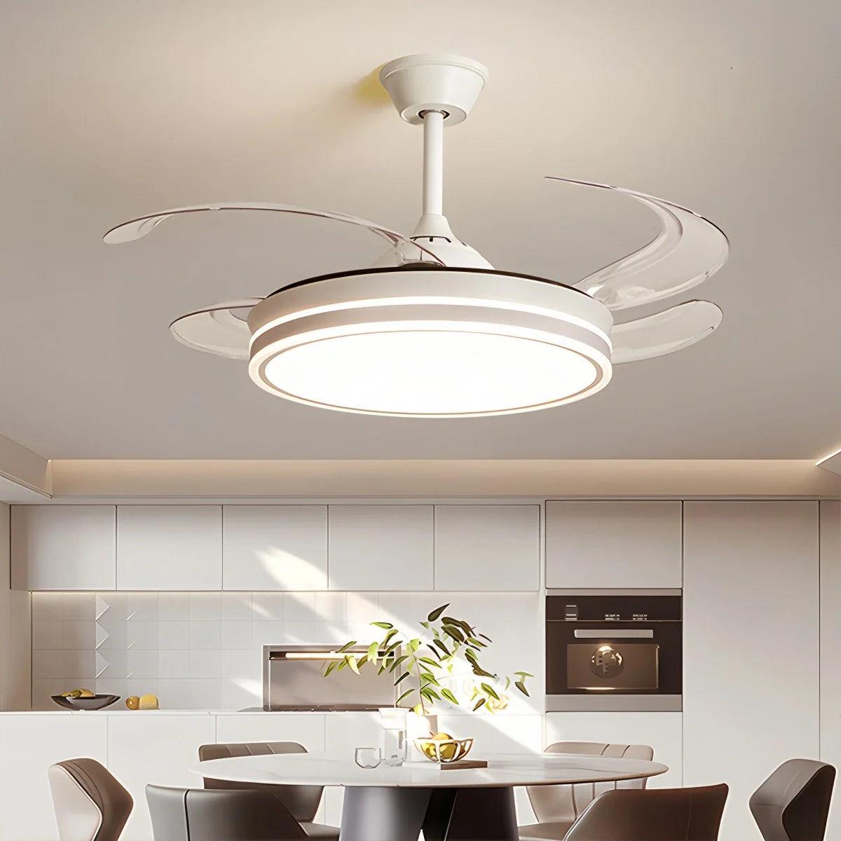 Feyran Modern Ceiling Fan with LED Light & Remote Control
