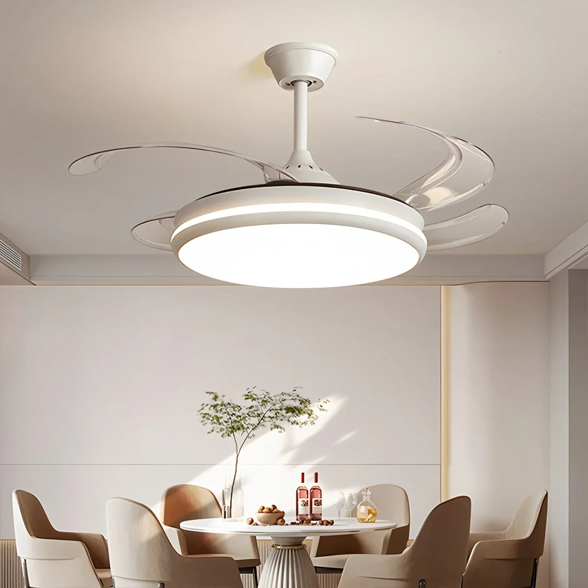Feyran Modern Remote Ceiling Fan Light with Clear Blades