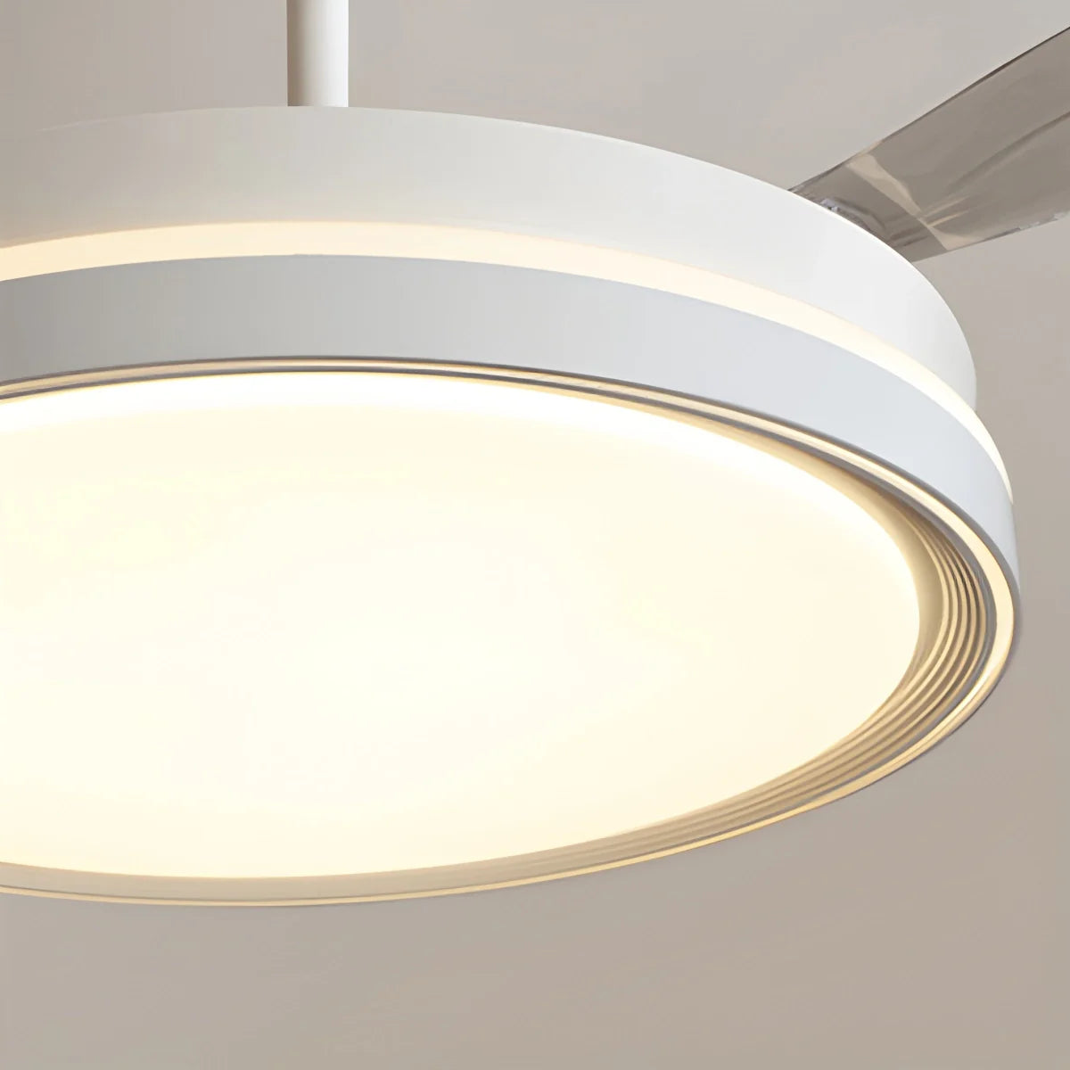 Feyran Modern Silent Remote Control Ceiling Fan with Light