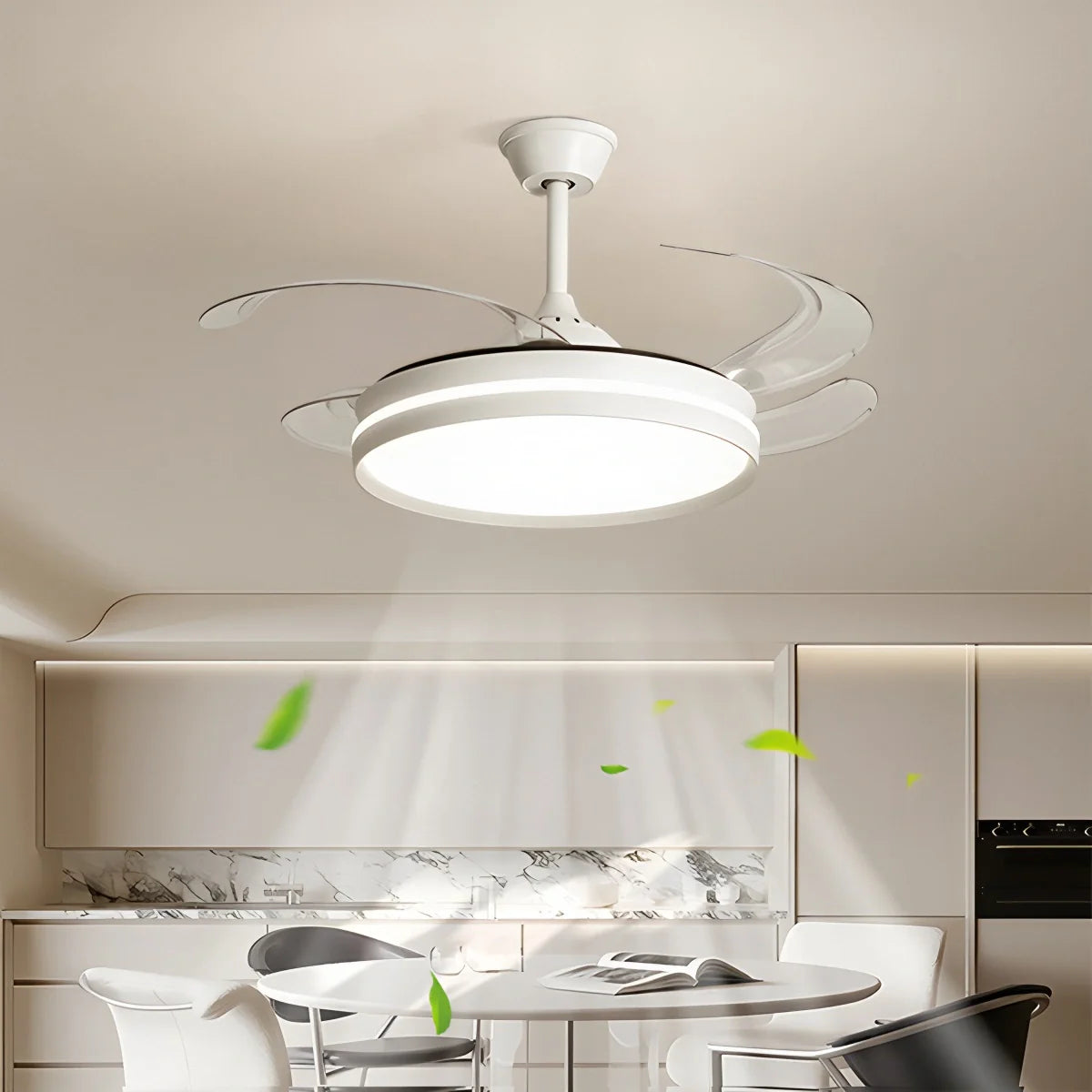 Feyran Modern Silent Remote Control Ceiling Fan with Light