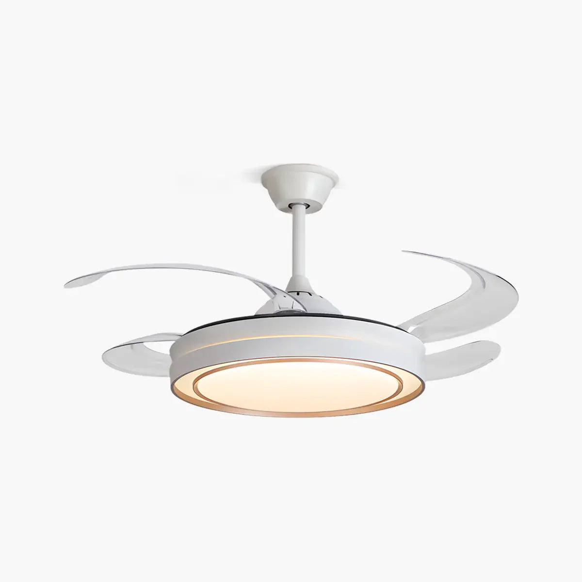 Feyran Modern Round Ceiling Fan Light with Remote Control