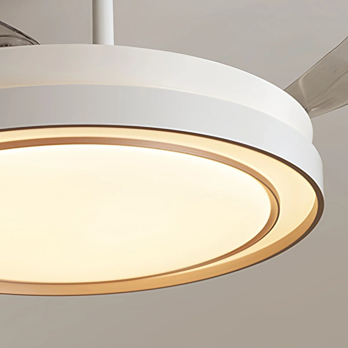 Feyran Modern Round Ceiling Fan Light with Remote Control