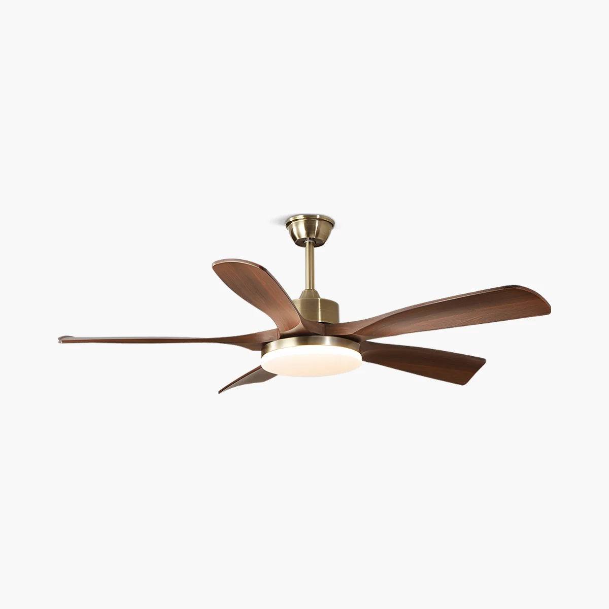 Feyran Modern 5-leaf Remote Control Ceiling Fan Light