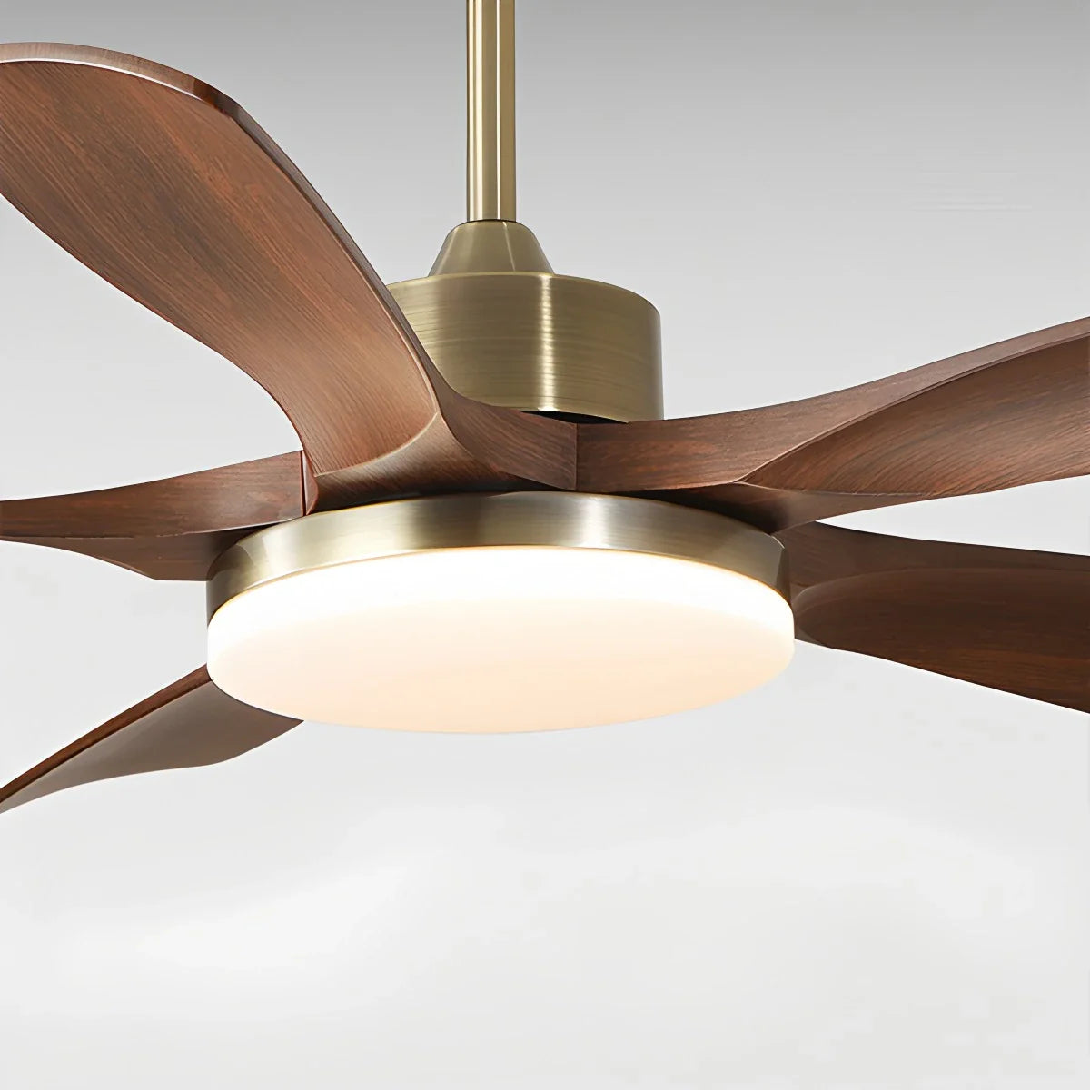 Feyran Modern 5-leaf Remote Control Ceiling Fan Light