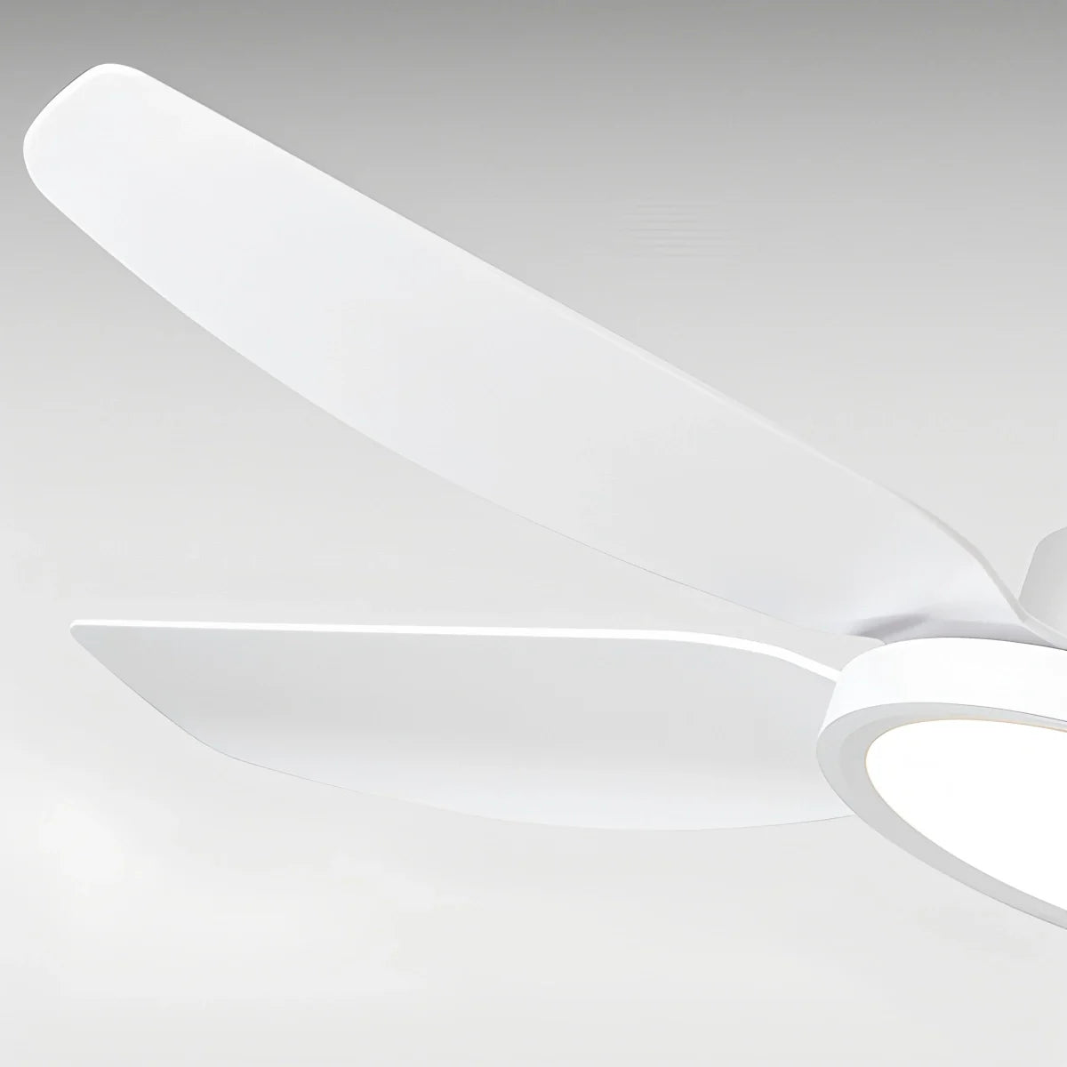 Feyran Modern White Ceiling Fans with Lights and Remote