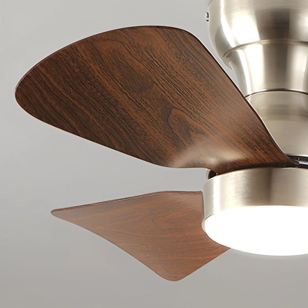 Feyran Small Size Indoor Ceiling Fan Light with Remote