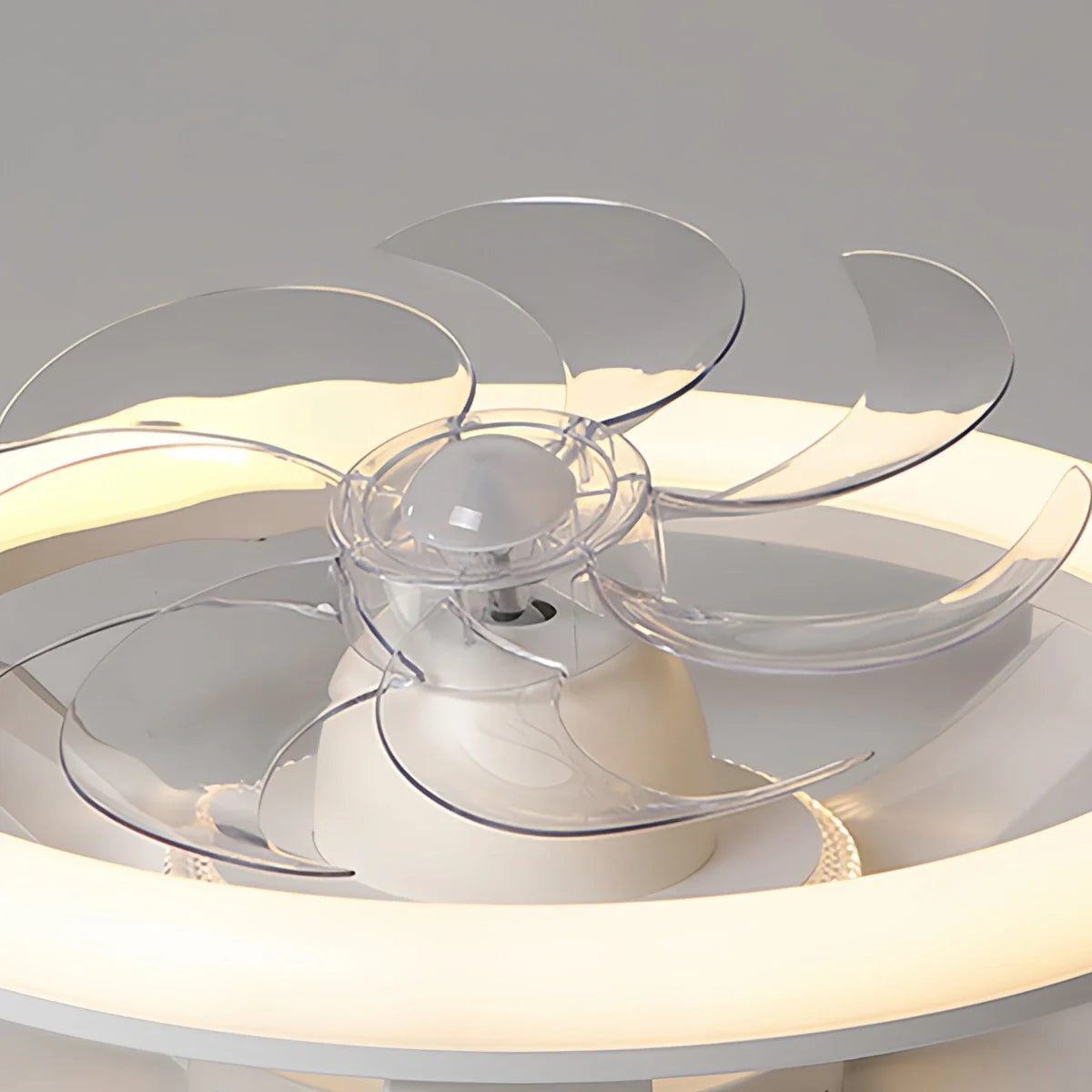 Feyran Creative Circular LED Ceiling Fan Light